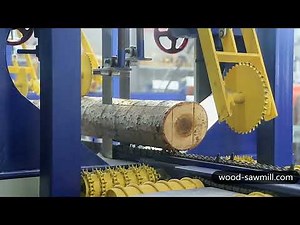 Vertical Band Sawmill Twin Vertical Wood Sawmill Working Video