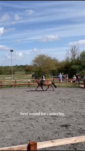 Best Sound for Cantering in Horse Riding
