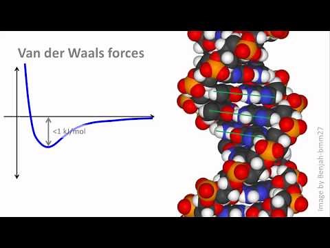 Biochemistry 2.3: Noncovalent interactions, pt 2