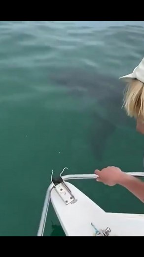 Encounter a Megalodon Shark in the Deep Sea