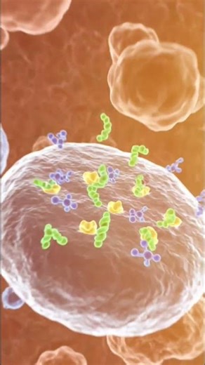 How drug works in human body 3D animation video