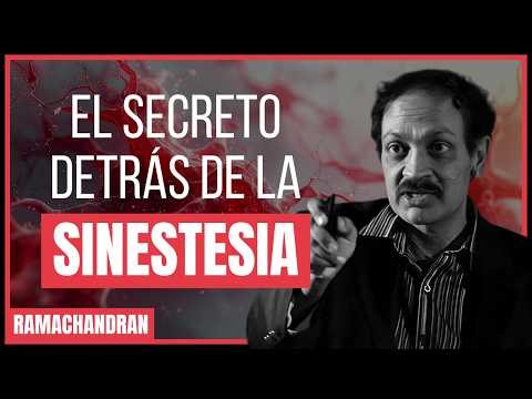 Cómo Evolucionó el Cerebro Humano para la Abstracción | Ramachandran