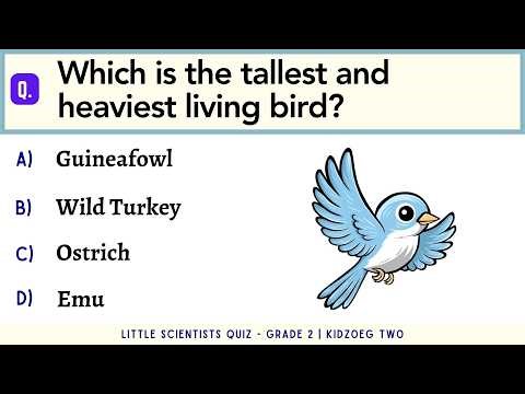 Little Scientists Quiz for Grade 2 | 20 Science Questions for Curious Kids | Elementary School