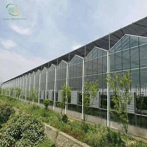 [Hot Item] Venlo Single/Double Glass Greenhouse with Hydroponics/Cooling/Ventilation System for Vegetables/Flowers