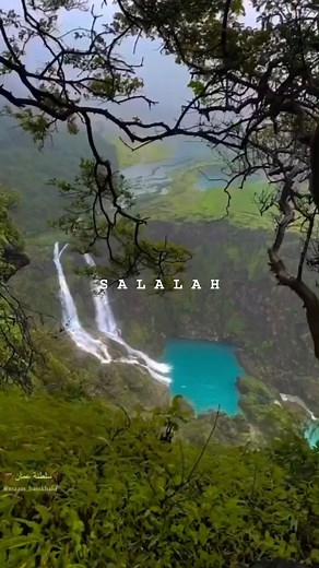 Escape to the Green Paradise of Salalah! 🤩 This National Day, don't miss out on our incredible Salalah Package for just AED 899! Experience the beauty of Oman's monsoon season with a 4-night, 5-day trip that includes: ✈️ 2-Way Transportation 🏨 Accommodation 🏞️ Sightseeing 🍽️ Full Board Meals (All meals included!) Special Rates Available for Families! Book Your Unforgettable Getaway with Air King Travel & Tours Today! 📞 Call for more details: 971 50 270 5766 #airkingtravels #salalahtour #uae