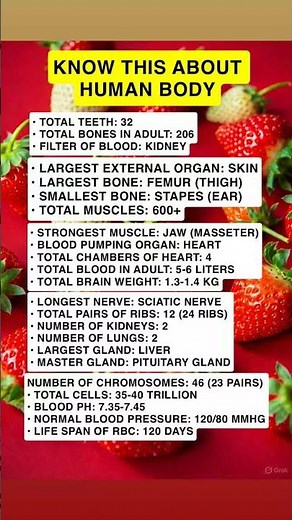 22 Fascinating Facts About the Human Body You Need to Know After 50