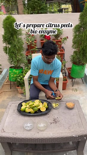 👁️‍🗨️🌱little gardener pradeep | Home made liquid fertilizers part 8 . Bio enzyme is a natural liquid produced by the fermentation of fruit/vegetable peels, jaggery (or... | Instagram