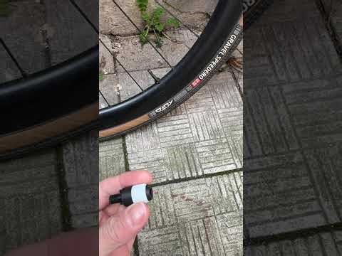 Schwalbe Clik vs BBB Core Cap valves