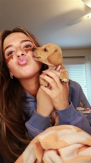 Dachshund Eye Patches: Why Some Mini Dachshund Puppies Have Dark Fur Around Their Eyes