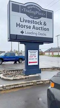 Shipshewana, Indiana auction barn. 9 auctioneers all auctioning one time. There’s a lot of action￼￼