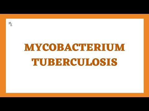 Mycobacterium tuberculosis (TB) - Morphology, Characteristics, Pathogenesis, Lab Diagnosis
