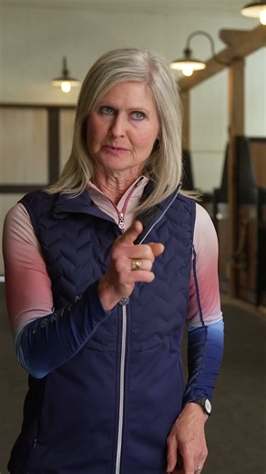 Custom Horse Stalls Trusted by Trainers