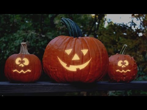 How to Make a Singing Pumpkin (Part 01)