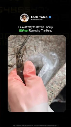 Secret Trick to Clean Shrimp, Fast and Clean!
