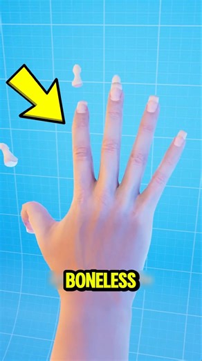 Can You Live Without Bones?