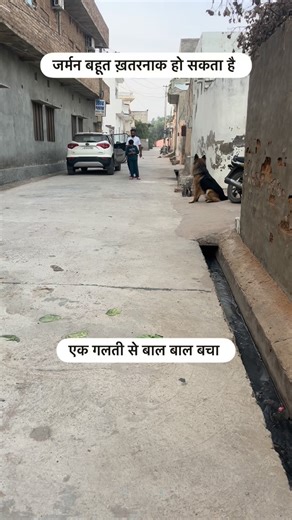 🅳🅴🆅 🅶🅾🅳🅰🆁🅰 | German shepherd attack very dangerous 😡😡 #germanshepherd #viral #trending #dog #trendingreels | Instagram