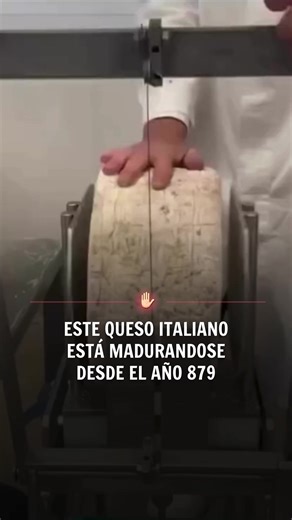 Video de Aguanta News (@aguantanews) relacionado con “queso de flor”