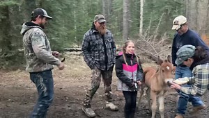 193K views · 10K reactions | So, another nurse mare required. This foal was also found way up in the high country today by these folks on their ATV’s. No other horses could be seen or found. They managed to find a cell signal and got in contact with us. We arrived at about 9:30pm and intercepted with the foal. He is now safe and sound back at the North 40 Ranch. | Help Alberta Wildies Society | Facebook
