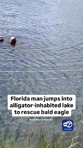 652K views · 5.9K reactions | A Florida man did not hesitate to jump into an alligator-inhabited lake to rescue an injured bald eagle. | ABC 7 Chicago | Facebook