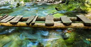 How to Have a Great One-on-One - Mindtools