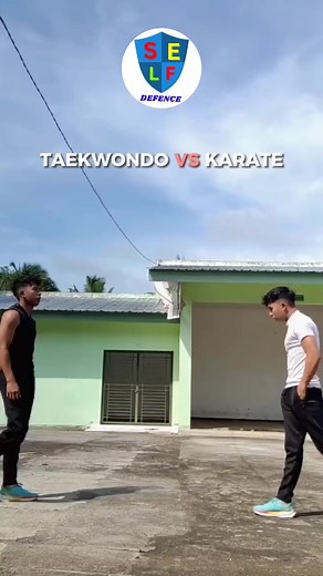 35K views · 402 reactions | Taekwondo VS Karate | Self-defense Drills | Facebook