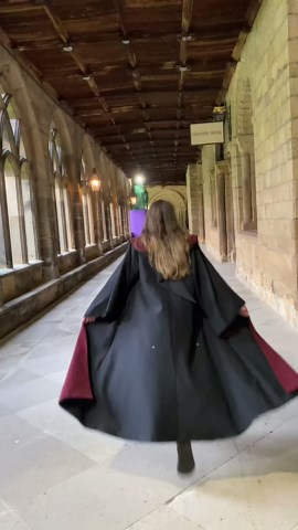 Which Hogwarts House Are You Really In?