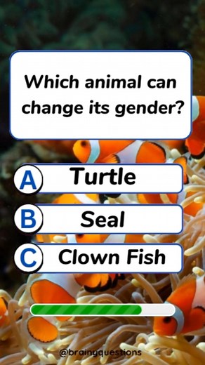 Only Geniuses Will Get This Right!" #QuizTime #TriviaChallenge #FunQuiz #BrainTeaser #QuizReels #KnowledgeIsPower #TestYourIQ | Brainy Questions