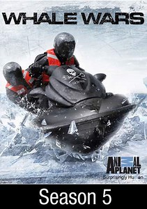 Whale Wars: Counterstrike