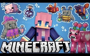 【MCYT/LDShadowLady/熟】我梦想中的MC更新