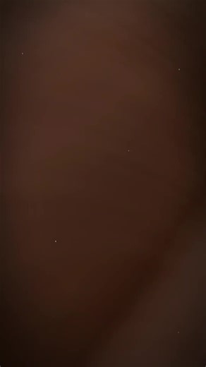 Cute Bear Moments: Exploring Adorable Bears