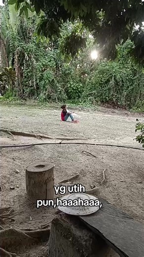 Understanding Pet Geese: A Guide for Goose Lovers