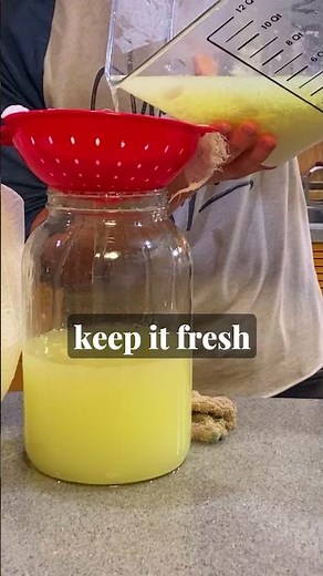 How to Make Lactic Acid Bacteria