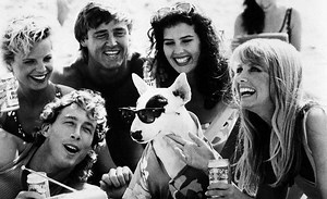 Super Bowl Dog Redux: Explaining Spuds MacKenzie to Millennial and Gen Z Audiences