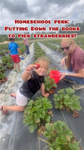 When your friend offers a picking day at the farm!