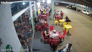 Her phone is more important than her life - Howler monkey reacts