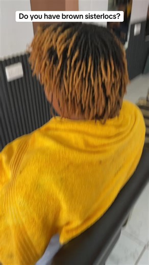 Revitalize Your Sisterlocs: Color Change Inspiration