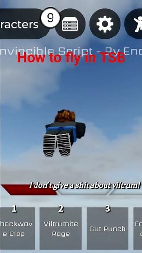 how to fly in tsb