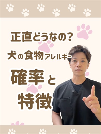 犬の食物アレルギー、食事見直しで改善する？