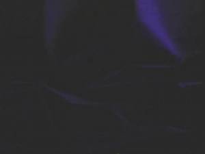 "Police Story 2" Applause Home Video/Roadshow Entertainment Australian PAL VHS tape : Free Download, Borrow, and Streaming : Internet Archive