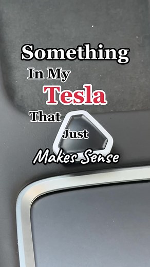 Brandon | Tesla Flex on TikTok