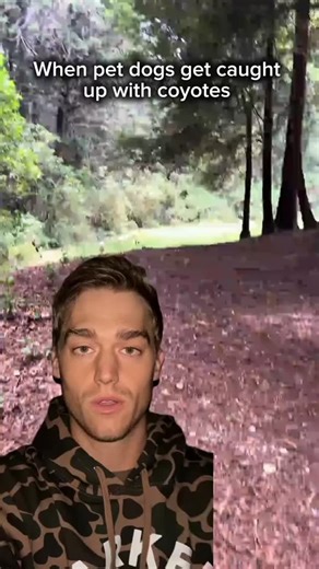 3.8K views · 19 reactions | Coyotes are wild for a reason — this dog just learned why.  #Coyotes #WildlifeEncounter #NatureCaughtOnCamera #PredatorVsPrey #AnimalsInTheWild #SurvivalInstincts#foryou | huntingclipss | Facebook