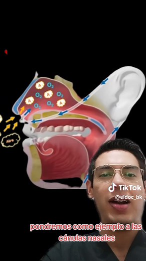 FiO2: Qué es y cómo se calcula la concentración de oxígeno