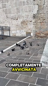 34K views · 154 reactions | MOV SYSTEM. Brevettato innovative technology scopri sul sito ! Visita il sito www.innovativetechnologysrl.it per info sui nostri servizi e prodotti scrivici a : innovativetech.evolution@gmail.com | Falcong | Facebook