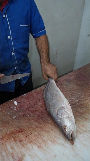 I Never Expected This Filleting Trick to Work—But It Made Me Fast!