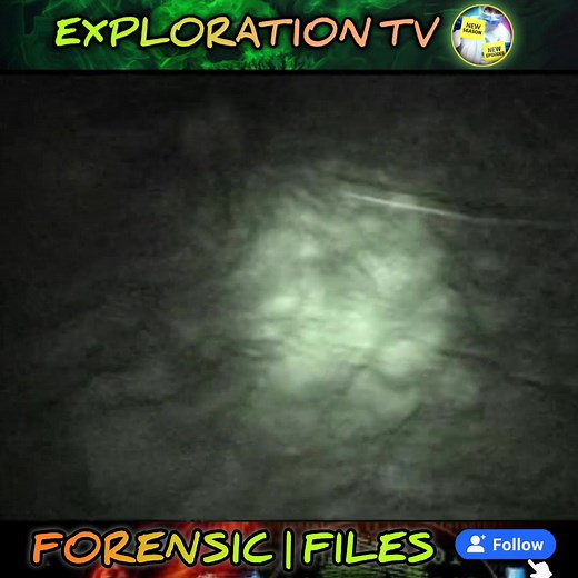 Forensic Files Season 41-Episode 80 - 10 Rillington Place Part 19 | Exploration TV