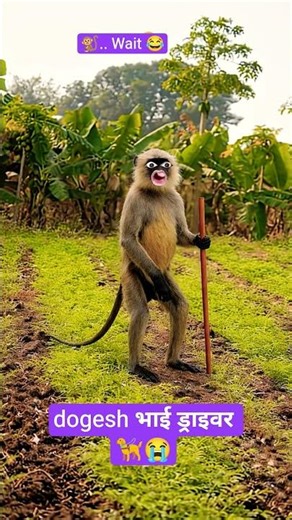 dogesh भाई ड्राइवर 🦮😭#Thetharjaanwar#shorts #comedy #funny #viralshots#Thetharpuns #dog