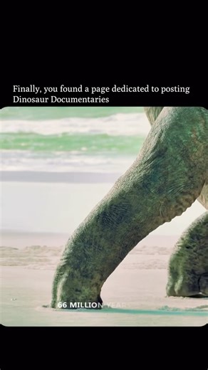 𝗙𝗼𝗹𝗹𝗼𝘄 𝗙𝗼𝗿 𝗠𝗼𝗿𝗲!❤️‍🩹 on Instagram: "An injured Alamosaurus collapses, its massive body shaking the ground as it falls. Within minutes, the scent of fresh flesh spreads across the plain — and the first scavengers arrive. A coordinated pack of Troodons slips in from the tree line, chirping to each other as they begin to feed. Quick, cautious, and clever… but not nearly strong enough to claim the kill for long. Moments later, the ground trembles again. A full-grown T. rex storms in, l