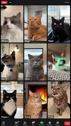 CAATs = Smart Audits! 💡 Inside Our Virtual Audit Session