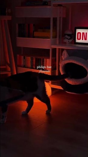 Step into the enchanting world of Philips Hue Flourish with Çisem Köken