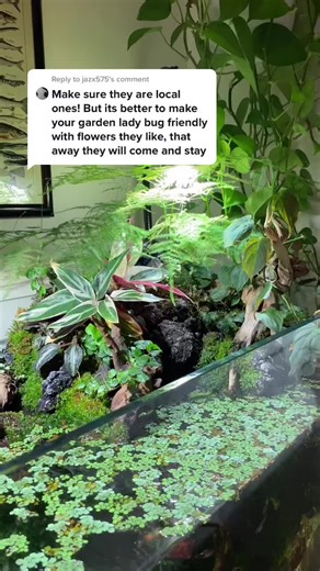 Understanding Ladybugs: Tips for Garden Pest Control